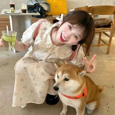你是我目光里的星